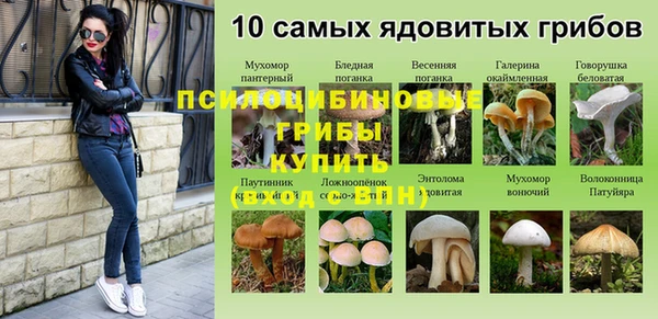 марки lsd Гусев