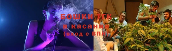 PSILOCYBIN Гусь-Хрустальный