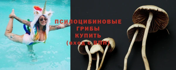 твердый Гусиноозёрск