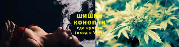 PSILOCYBIN Гусь-Хрустальный