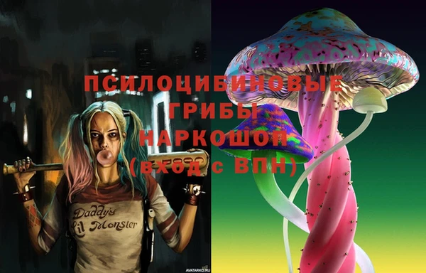 PSILOCYBIN Гусь-Хрустальный