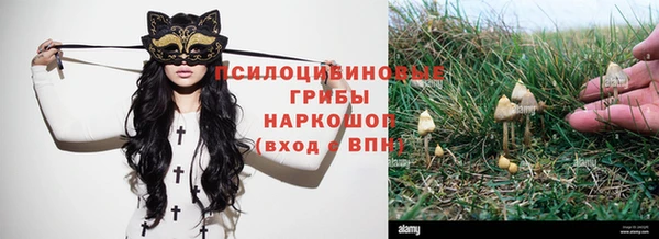 марки lsd Гусев