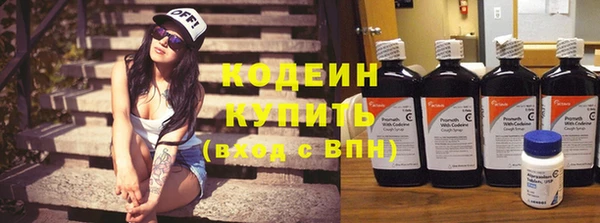 PSILOCYBIN Гусь-Хрустальный