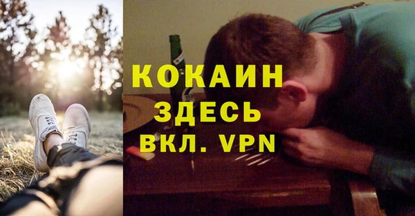 PSILOCYBIN Гусь-Хрустальный