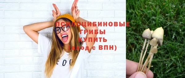 марки lsd Гусев